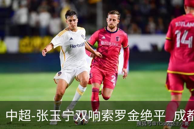 中超-张玉宁双响索罗金绝平 成都连扳两球2-2国安4连平