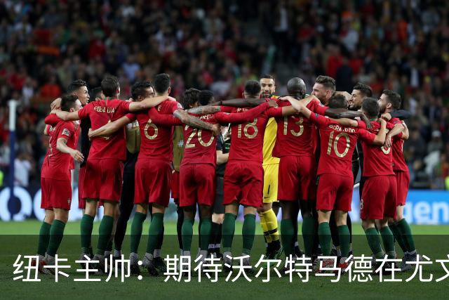 纽卡主帅：期待沃尔特马德在尤文大放异彩，我们会密切关注他